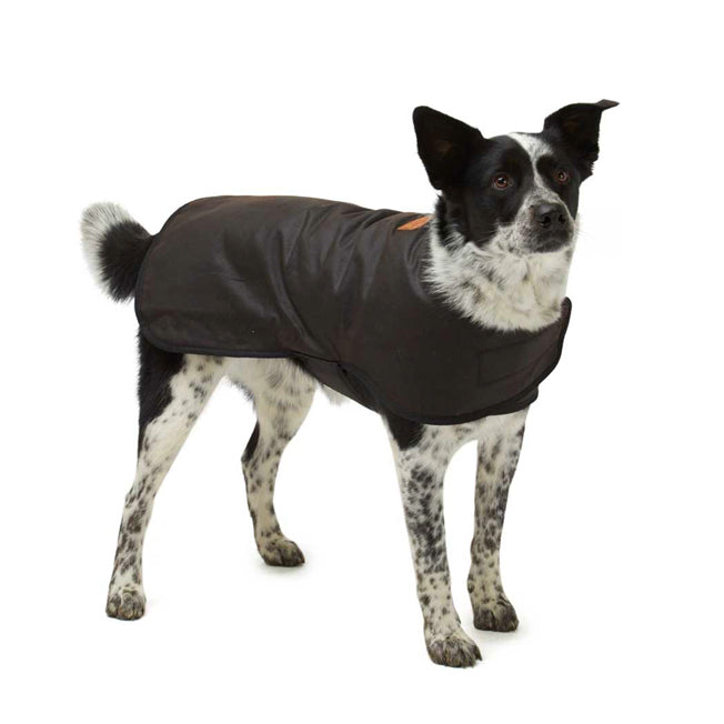 Didgeridoonas Woollen Dog Rug