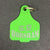 Lattanzios Horsham Cattle Tag Keyring