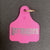 Lattanzios Horsham Cattle Tag Keyring