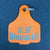 Lattanzios Horsham Cattle Tag Keyring