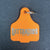 Lattanzios Horsham Cattle Tag Keyring