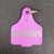 Lattanzios Horsham Cattle Tag Keyring