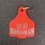 Lattanzios Horsham Cattle Tag Keyring