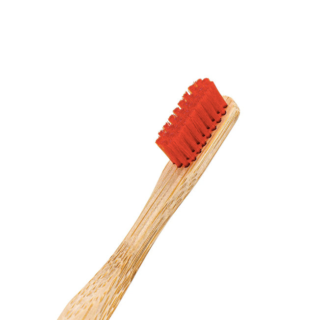 Angelus Detail Cleaning Brush 2pk