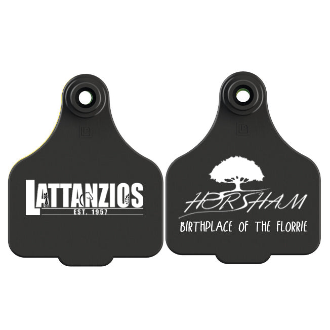 Lattanzios Horsham V2 Cattle Tag Keyring