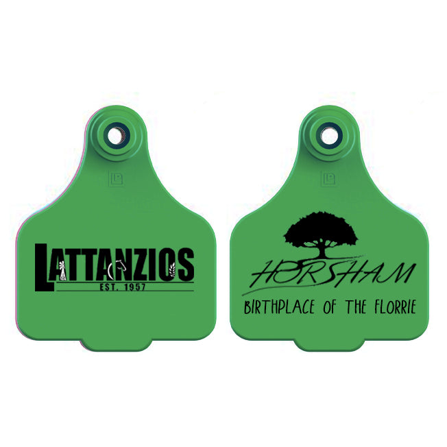 Lattanzios Horsham V2 Cattle Tag Keyring