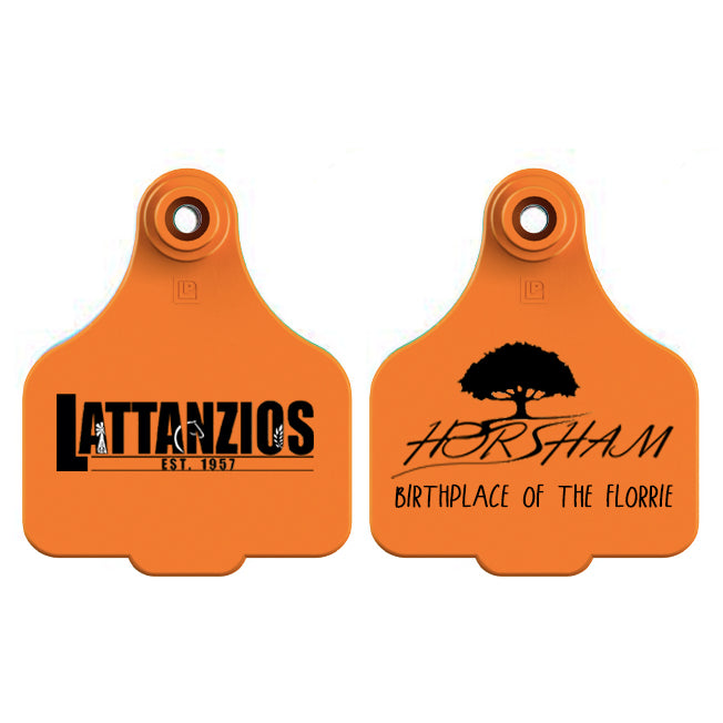 Lattanzios Horsham V2 Cattle Tag Keyring
