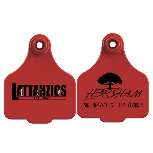 Lattanzios Horsham V2 Cattle Tag Keyring