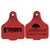 Lattanzios Horsham V2 Cattle Tag Keyring