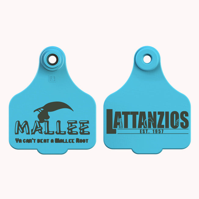 Lattanzios Mallee Cattle Tag Keyring