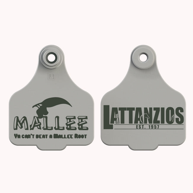 Lattanzios Mallee Cattle Tag Keyring