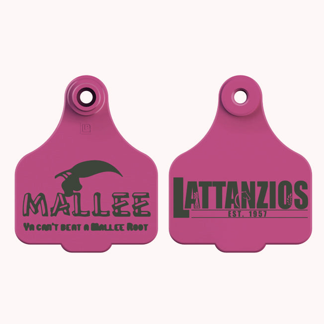 Lattanzios Mallee Cattle Tag Keyring