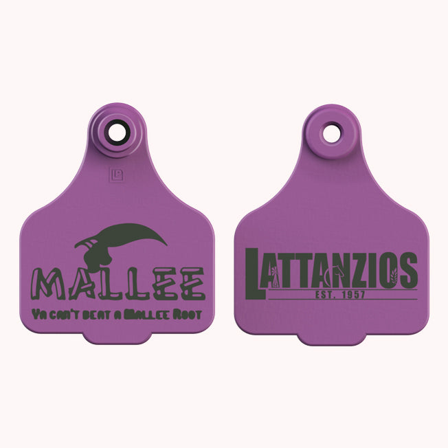 Lattanzios Mallee Cattle Tag Keyring