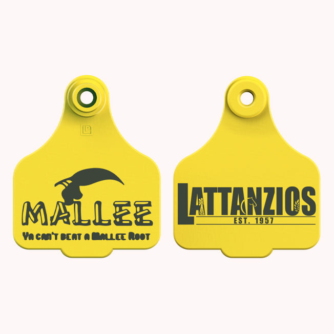 Lattanzios Mallee Cattle Tag Keyring