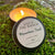 Made At The Ranch Mountain Trail Candle