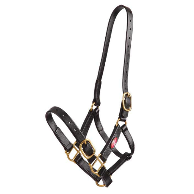 Pvc Halters Zilco 25mm PVC Halter w/Brass - Lattanzios