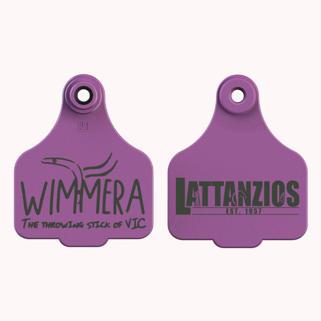 Lattanzios Wimmera Cattle Tag Keyring