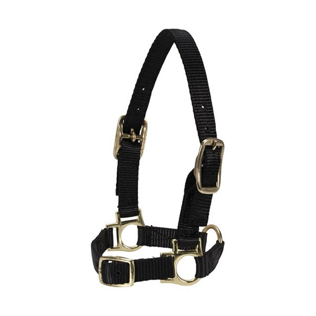 Nylon Sheep Halter W/adjustable Nose