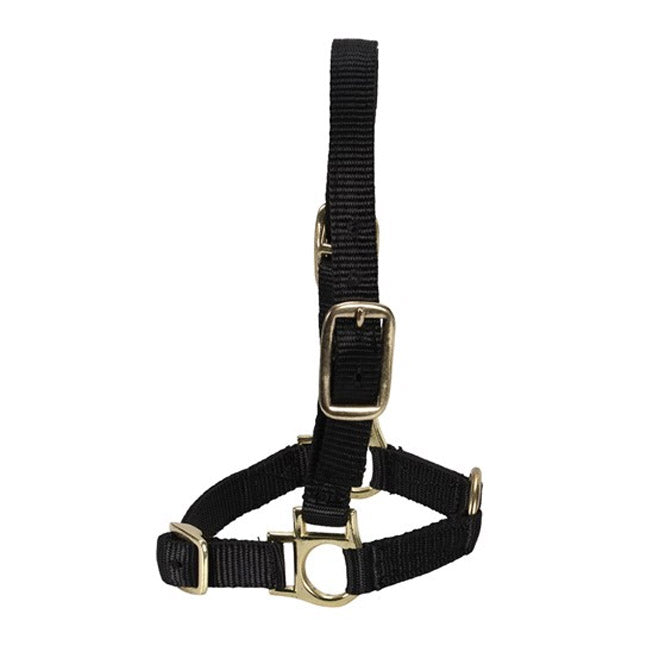 Nylon Sheep Halter W/adjustable Nose