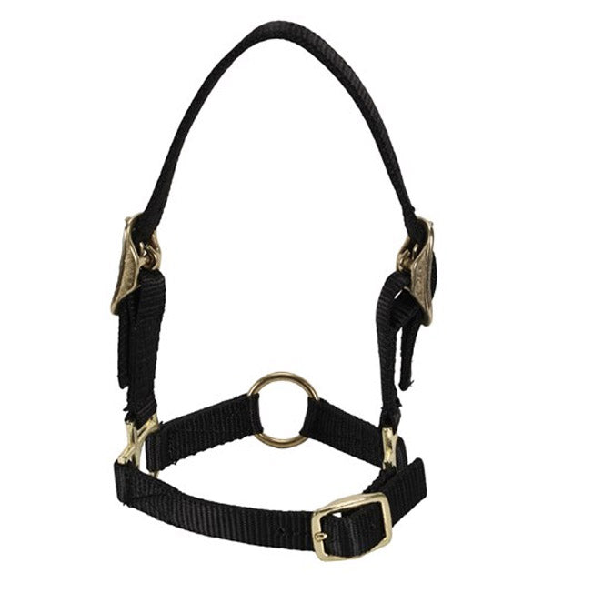 Nylon Sheep Halter W/adjustable Nose