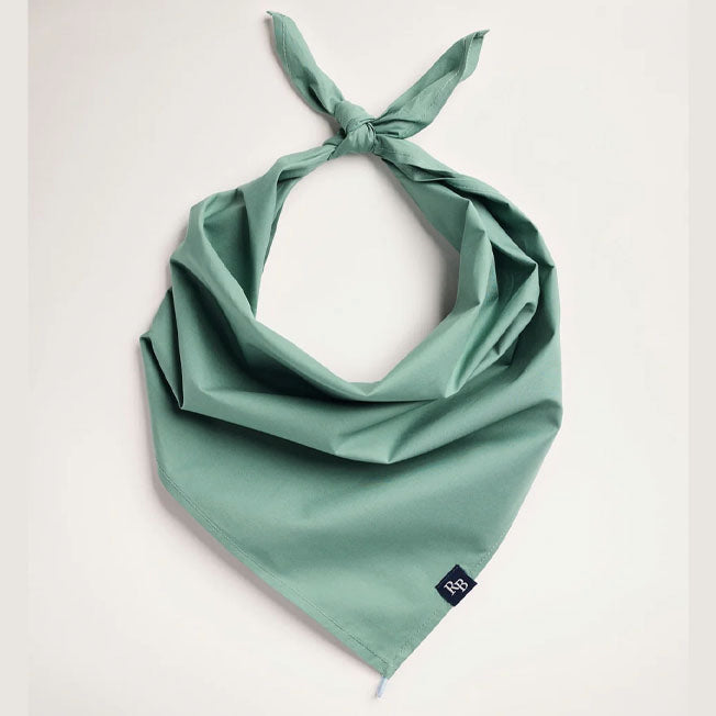 RB Sellars Ladies Bandana Scarves Set of 2