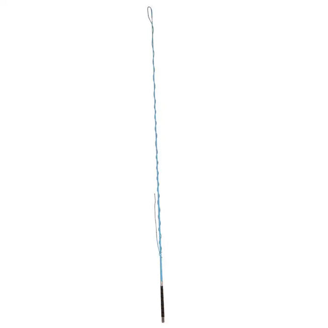 Dublin Brights Lunge Whip