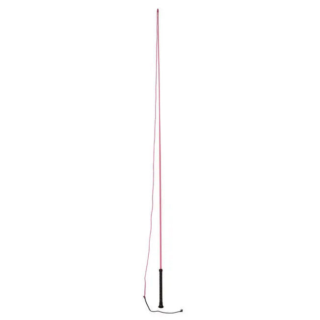 Dublin Brights Lunge Whip