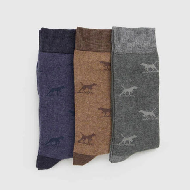 Rodd &amp; Gunn Dogs-A-Plenty Socks 3pk