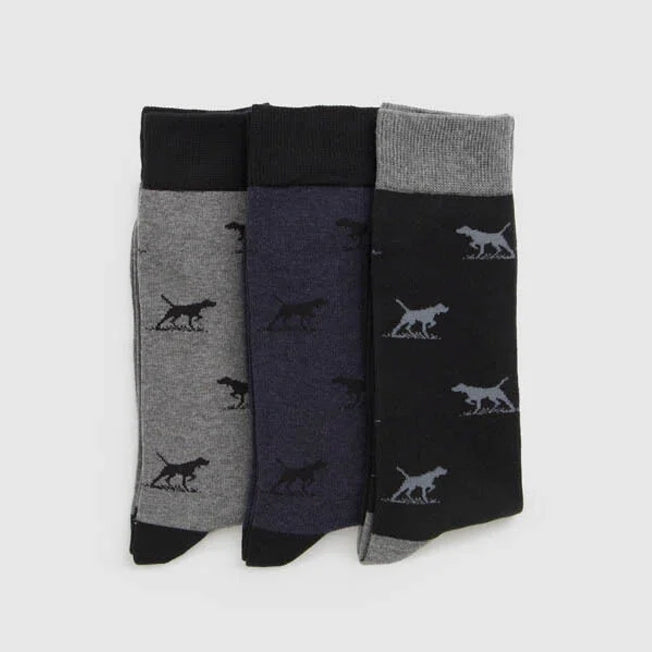 Rodd & Gunn Dogs-A-Plenty Socks 3pk