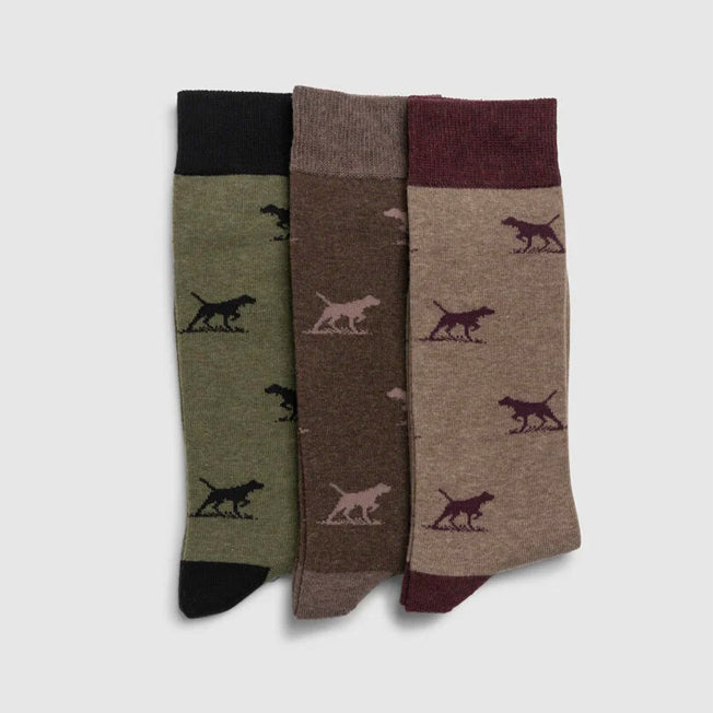 Rodd & Gunn Dogs-A-Plenty Socks 3pk