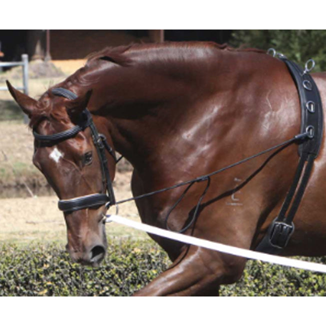 Zilco Elastic Chambon Training Strap