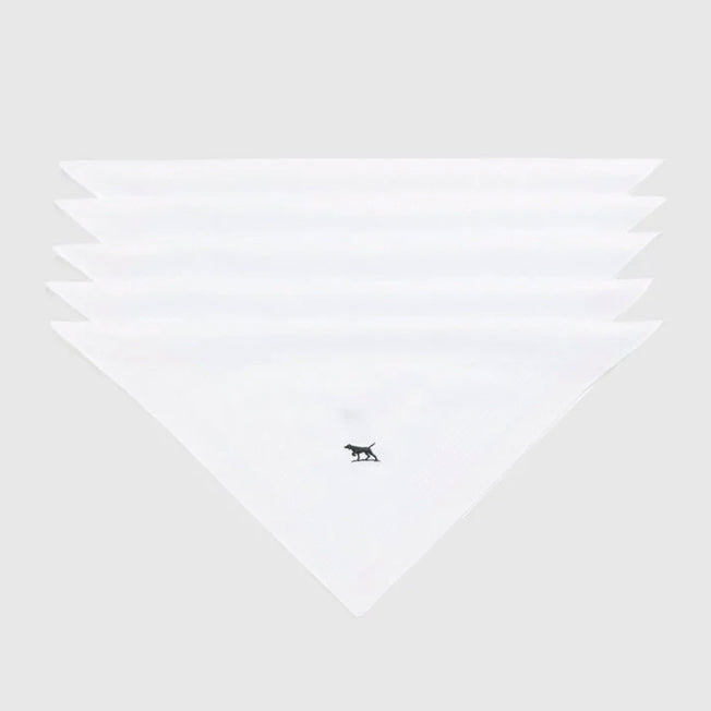 Rodd & Gunn Gunner Handkerchief 5pk