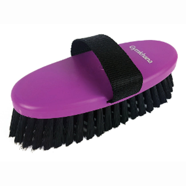 Gymkhana Body Brush