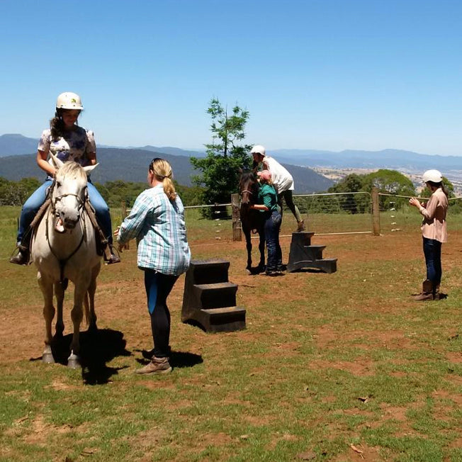 Polymaster Handi Step Mounting Block