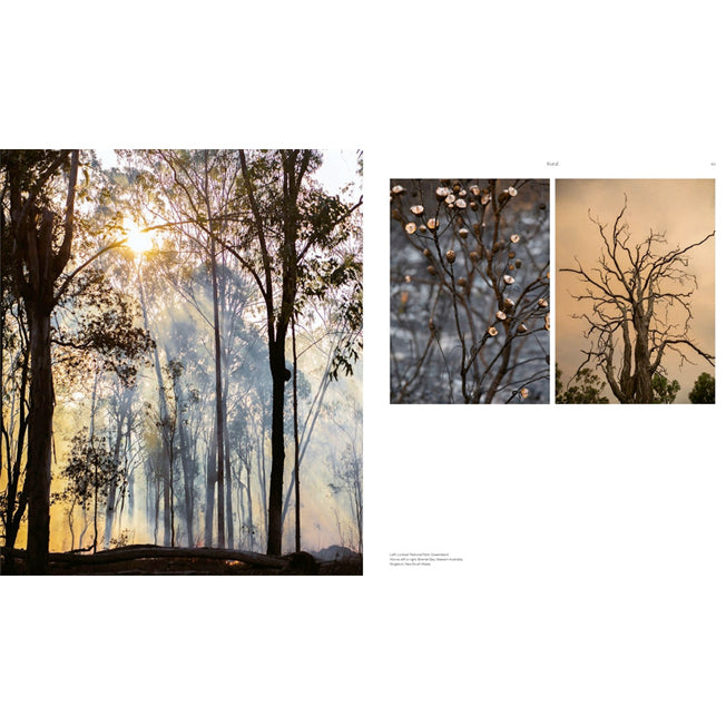 In An Australian Light