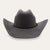 Stetson Ironbark Felt Hat