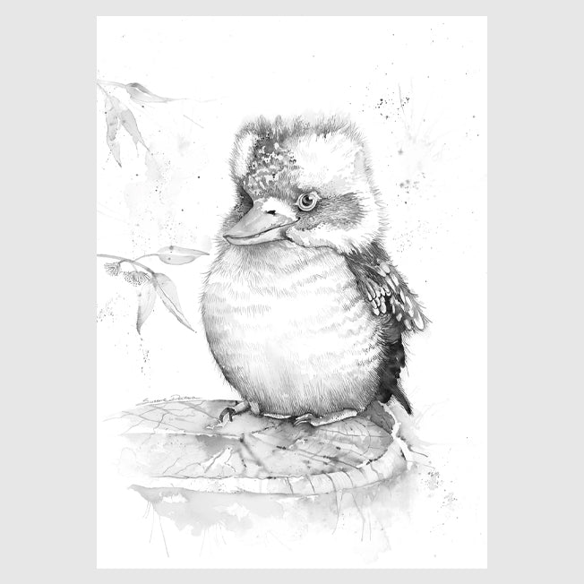 Sketch Art & Design Kookaburra Greeting Card