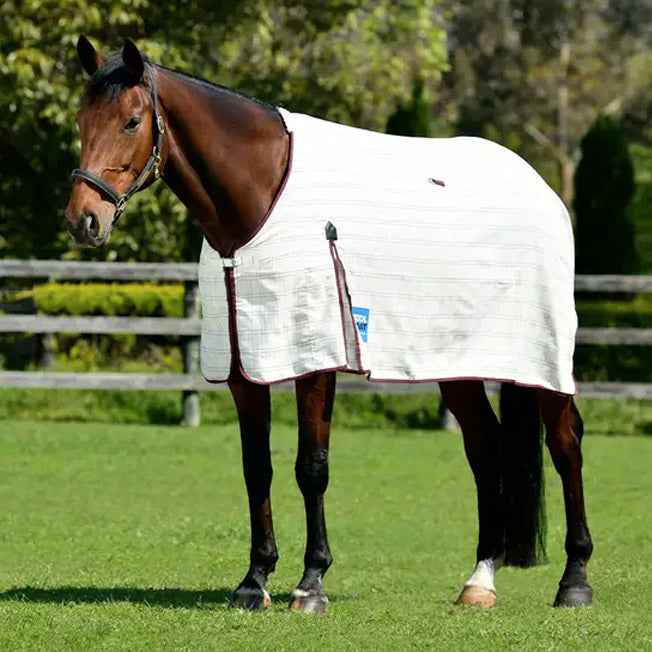 Kool Coat Cotton Summer Rug