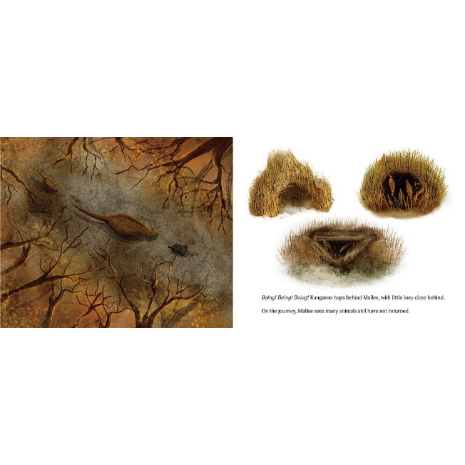 Mallee and the Blue Gum