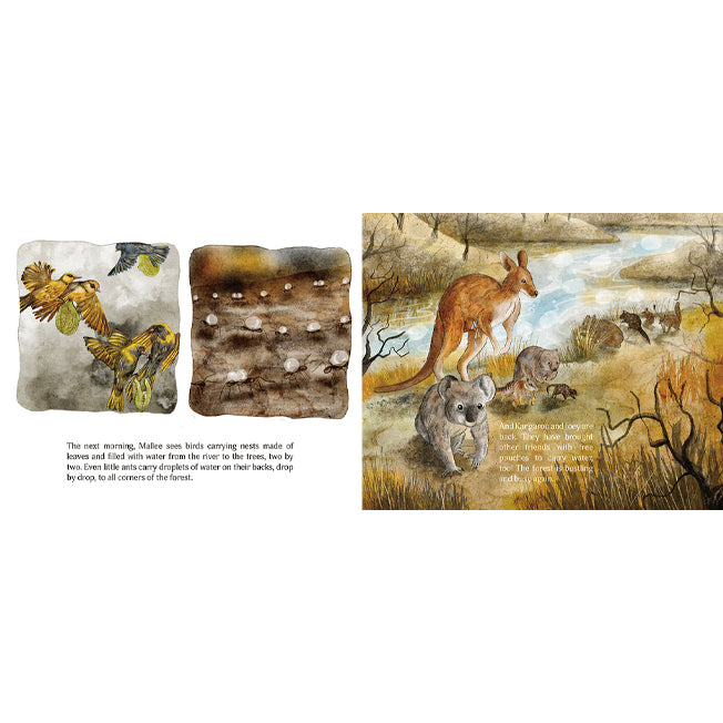 Mallee and the Blue Gum