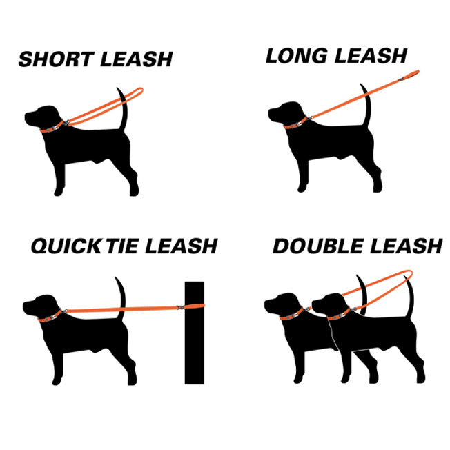 AgBoss Multifunction Dog Lead