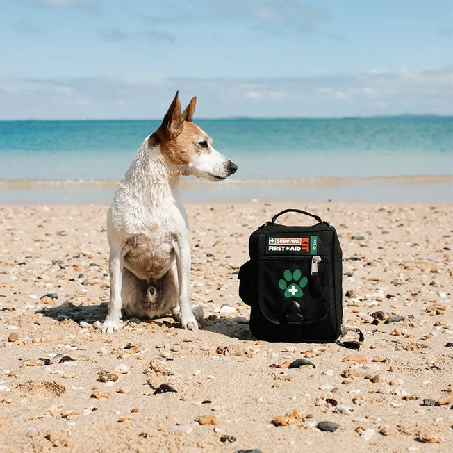 Survival Pet First Aid Kit