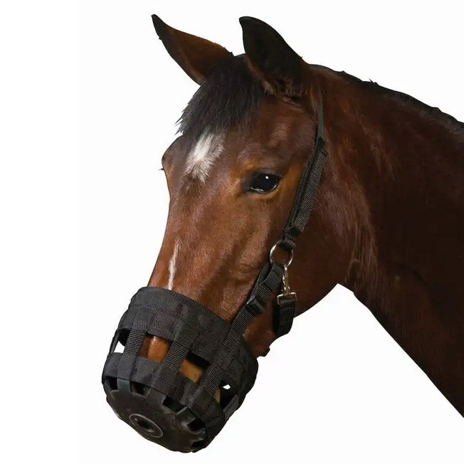 Roma Webbing Grazing Muzzle with Rubber Base