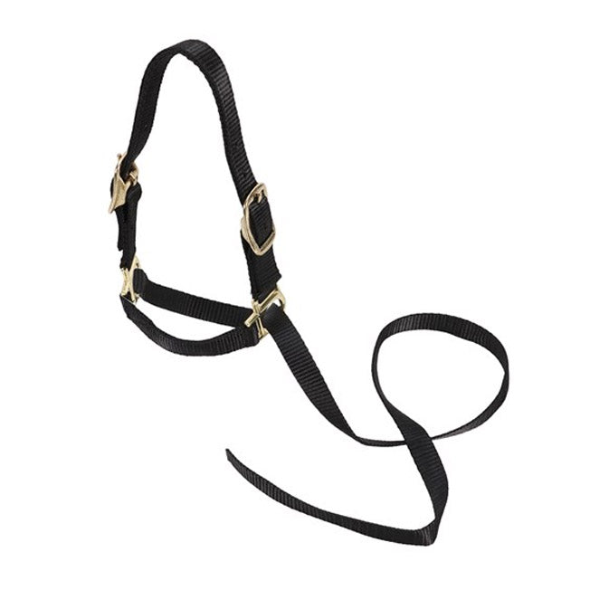 Nylon Sheep Show Halter w/Lead
