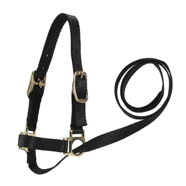 Nylon Sheep Show Halter w/Lead