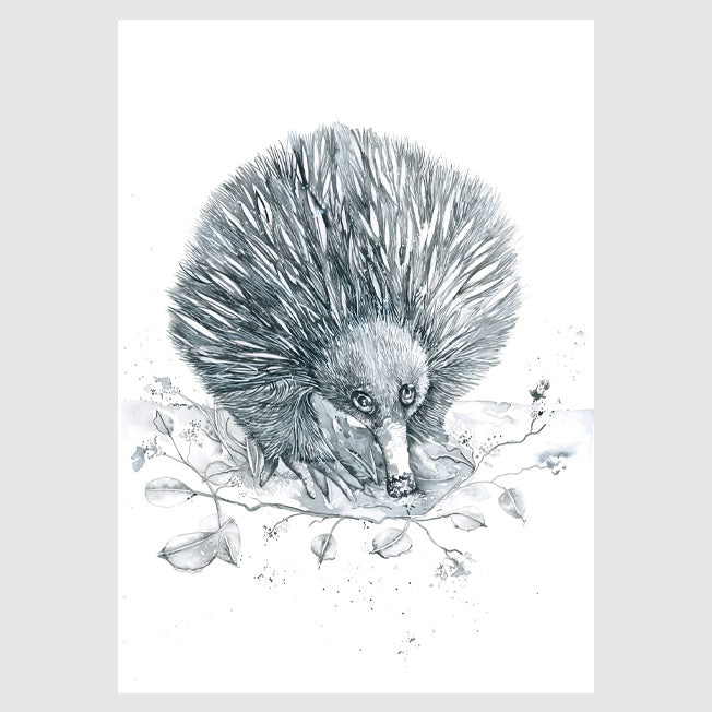 Sketch Art & Design Echidna Greeting Card