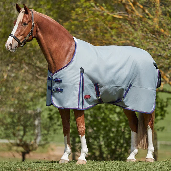 Weatherbeeta Comfitec Prelim Medium Rug
