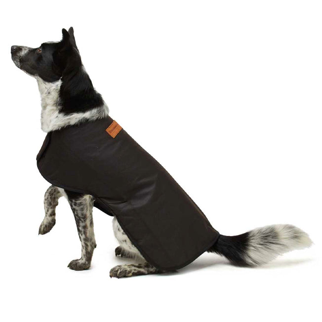 Didgeridoonas Woollen Dog Rug