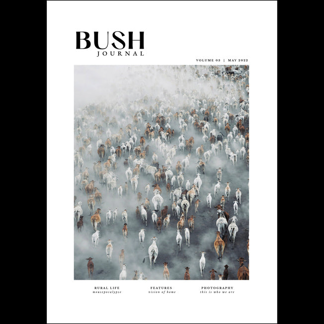 Bush Journal Vol 3