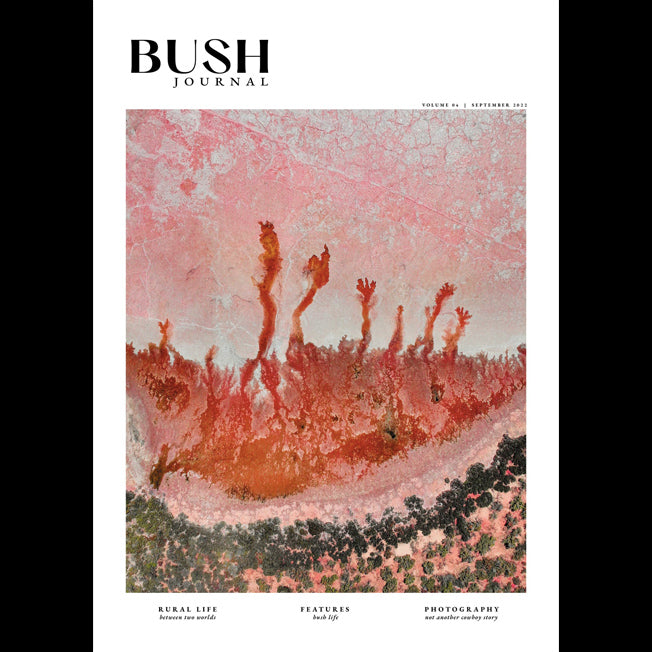 Bush Journal Vol 4
